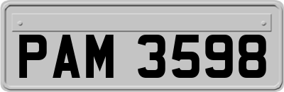 PAM3598