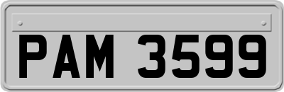 PAM3599