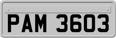 PAM3603