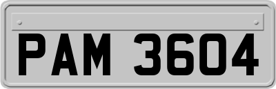 PAM3604