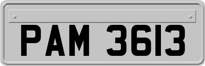 PAM3613