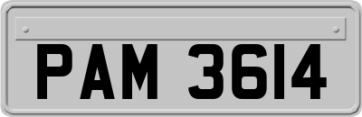 PAM3614