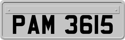 PAM3615