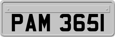 PAM3651