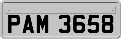 PAM3658
