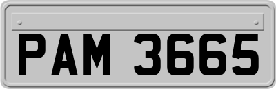 PAM3665