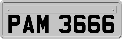 PAM3666