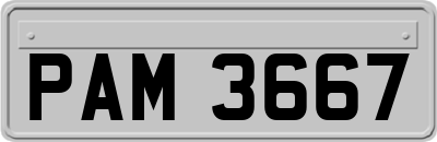 PAM3667