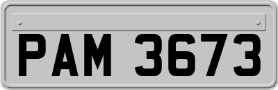 PAM3673
