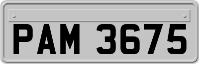 PAM3675