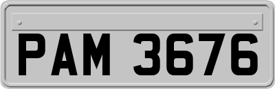 PAM3676