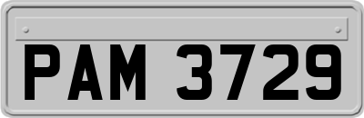 PAM3729
