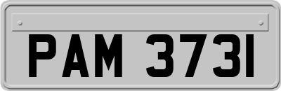 PAM3731