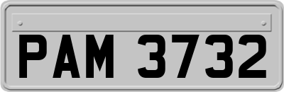 PAM3732