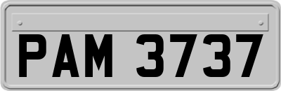 PAM3737