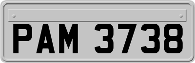 PAM3738