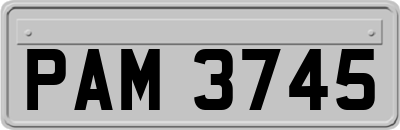 PAM3745