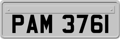 PAM3761