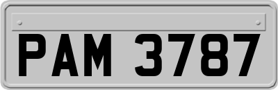 PAM3787