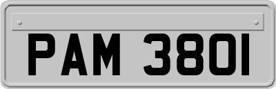 PAM3801