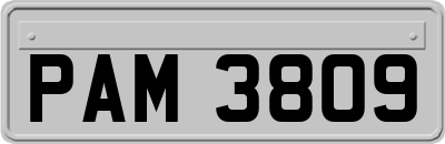 PAM3809