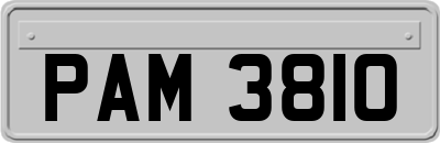 PAM3810