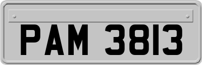 PAM3813