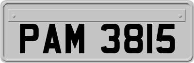 PAM3815