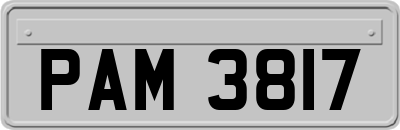 PAM3817