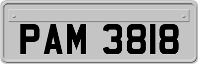 PAM3818