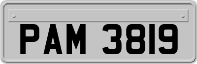PAM3819