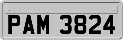 PAM3824