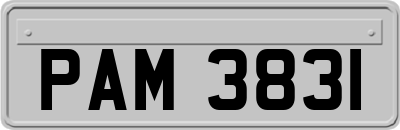 PAM3831
