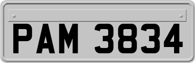 PAM3834