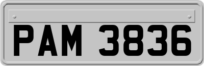 PAM3836