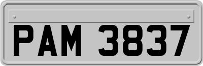 PAM3837