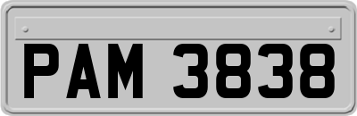 PAM3838