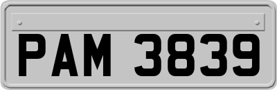 PAM3839