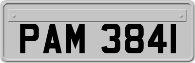 PAM3841