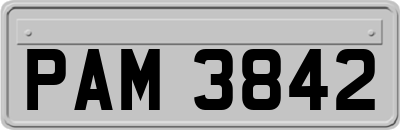 PAM3842