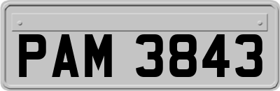 PAM3843