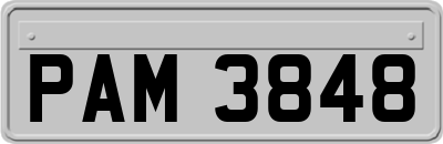 PAM3848