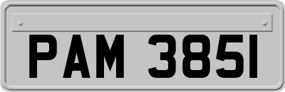 PAM3851