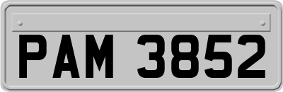 PAM3852