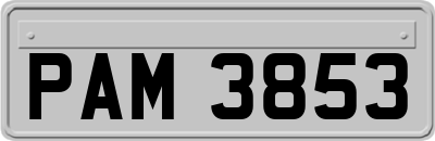 PAM3853