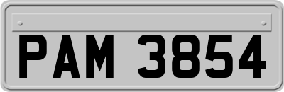 PAM3854
