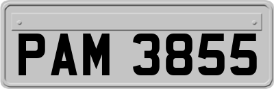 PAM3855
