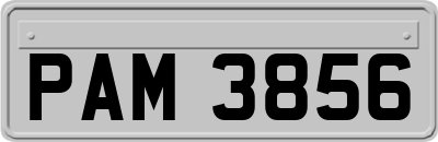 PAM3856
