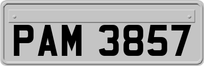 PAM3857