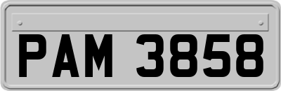PAM3858